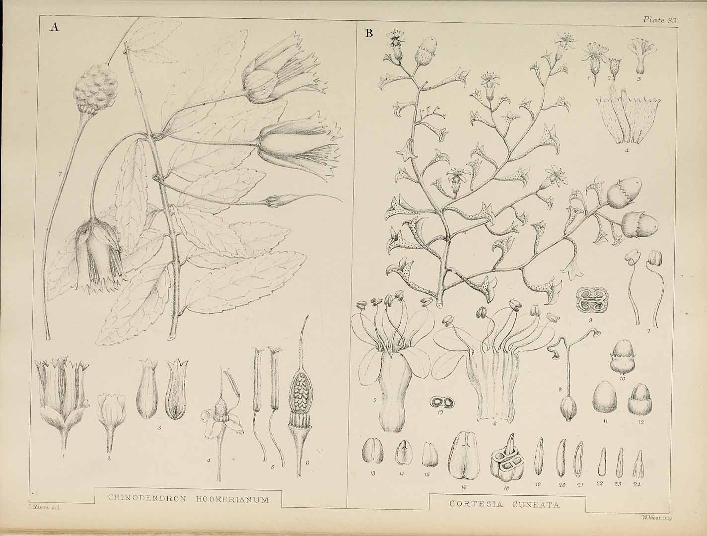 no HD illustration available (3)