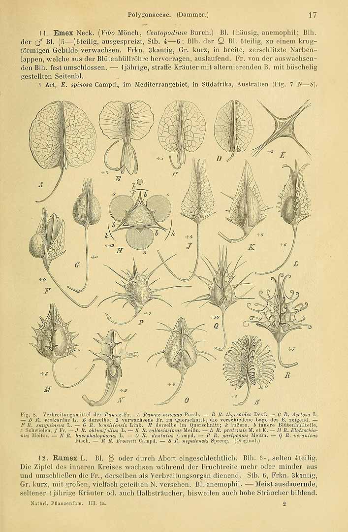 no HD illustration available (3)