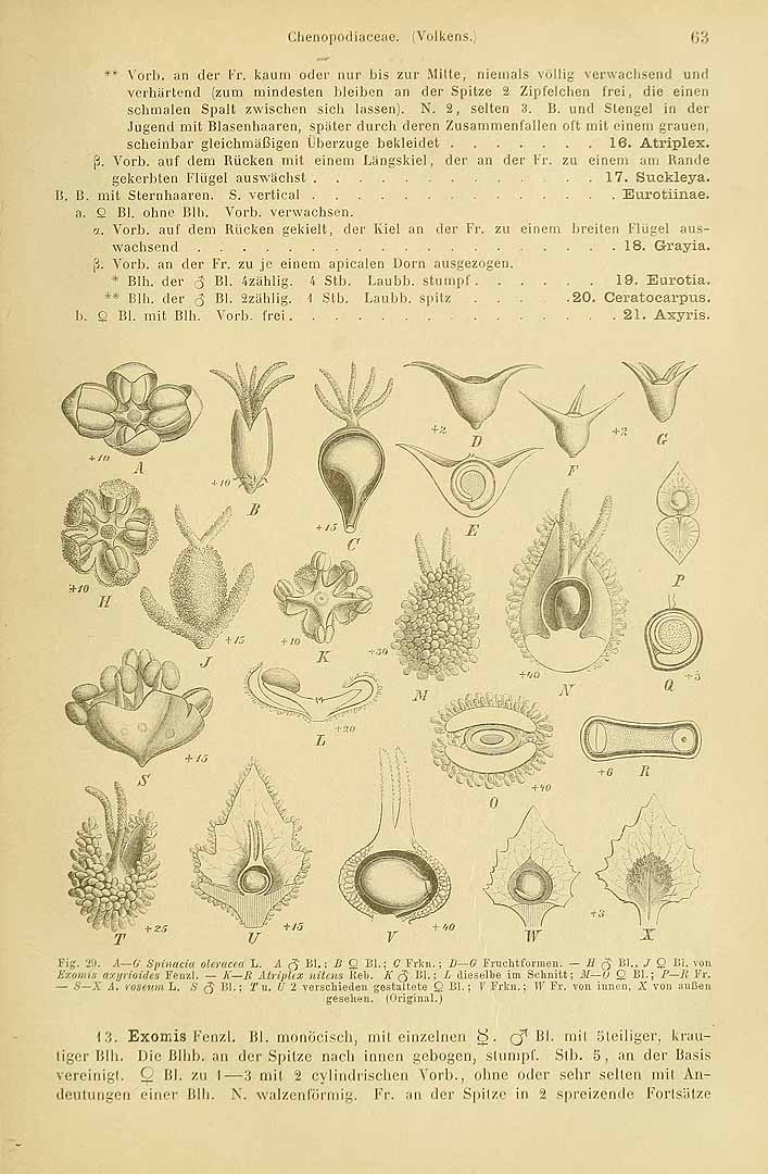 no HD illustration available (3)