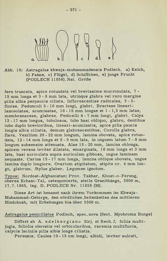 no HD illustration available (3)