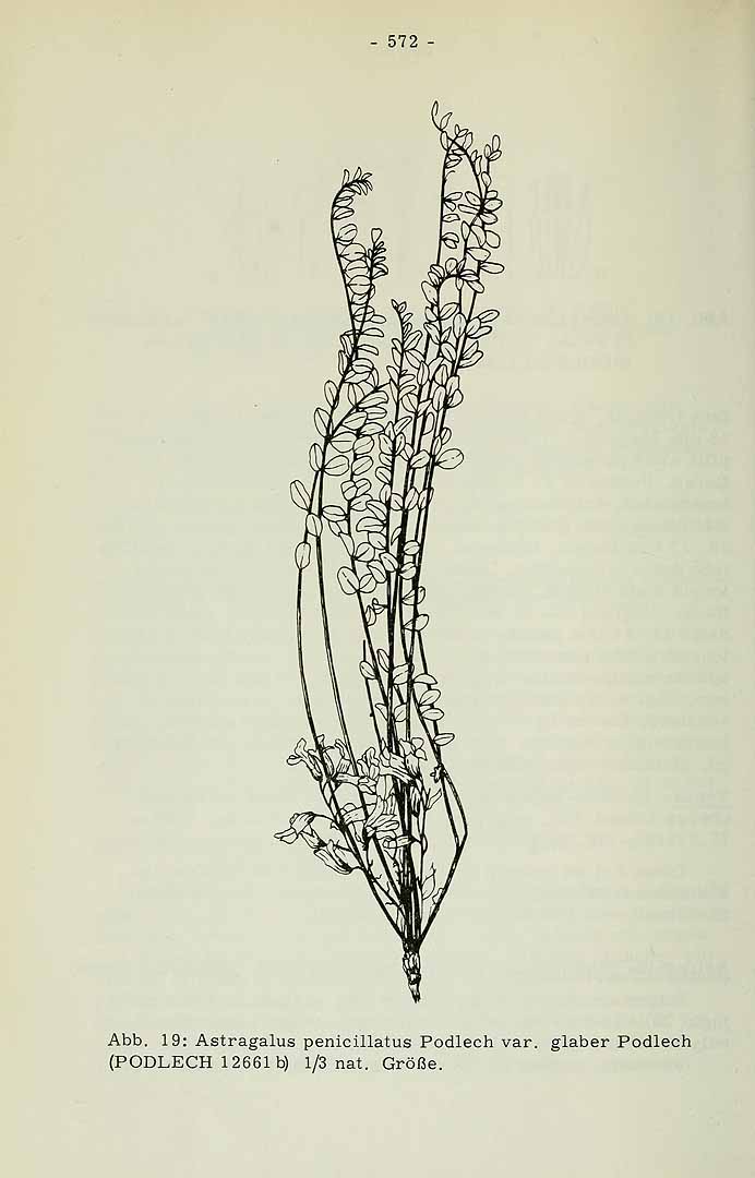 no HD illustration available (3)