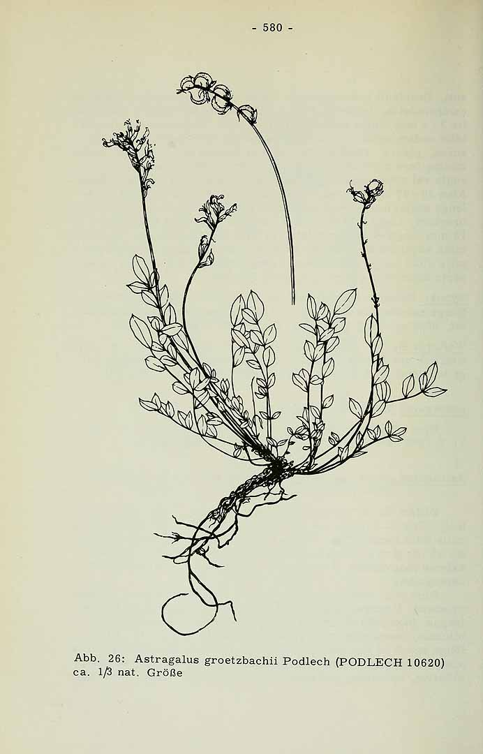 no HD illustration available (3)