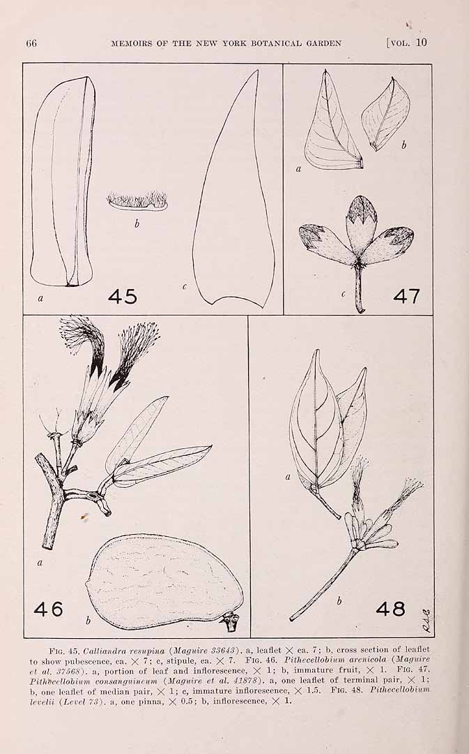 no HD illustration available (3)