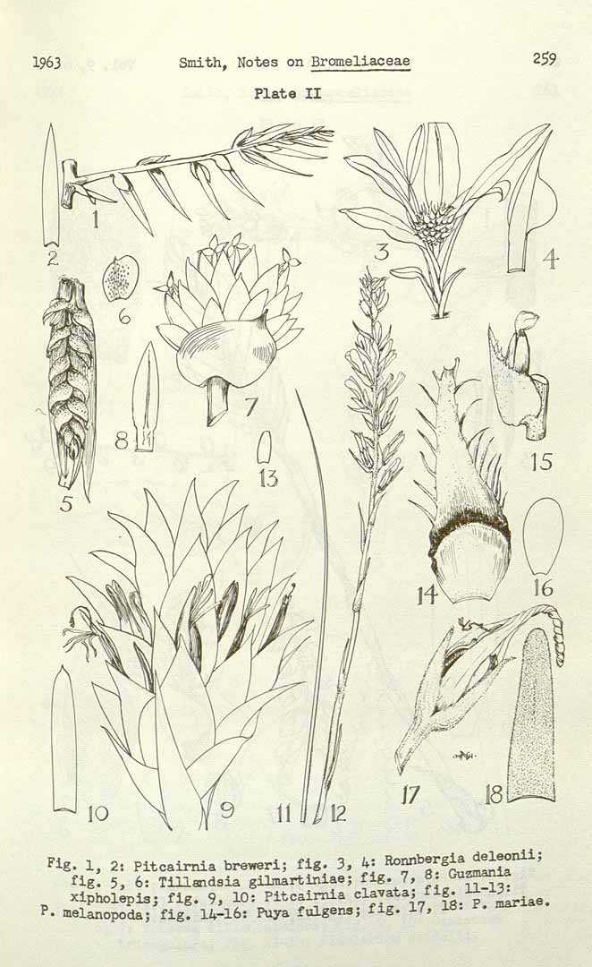 no HD illustration available (3)