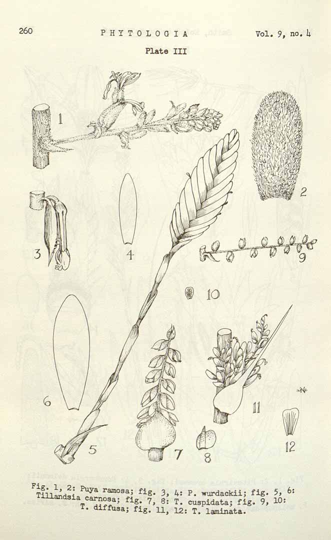 no HD illustration available (3)