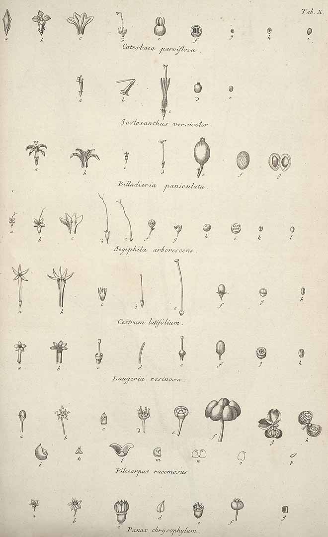 no HD illustration available (3)