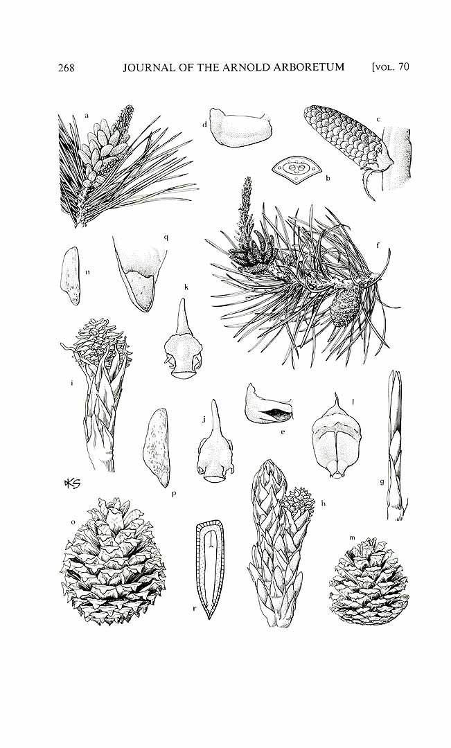 no HD illustration available (3)