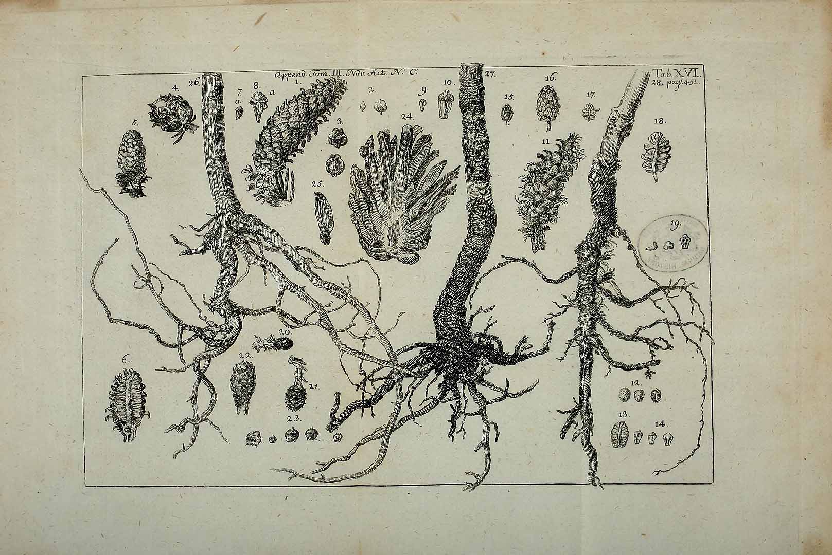 no HD illustration available (3)