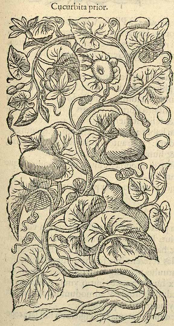 no HD illustration available (3)