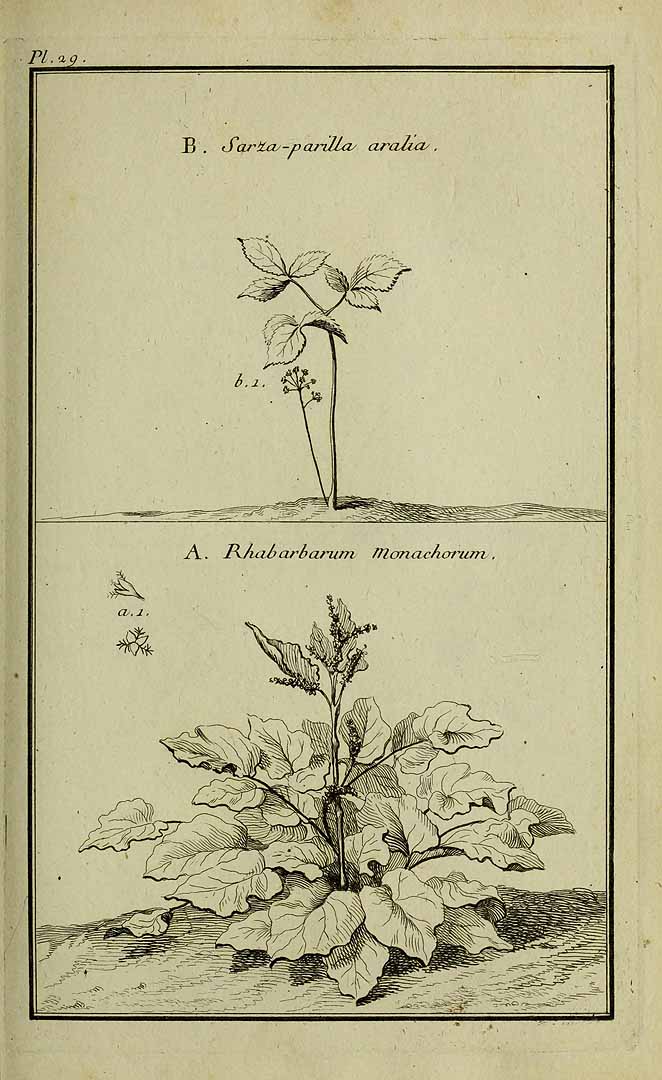 no HD illustration available (3)