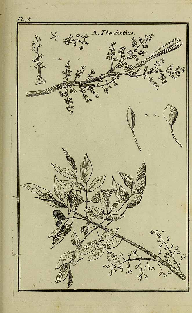 no HD illustration available (3)