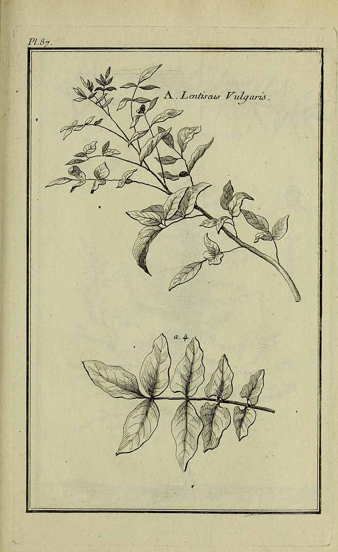 no HD illustration available (3)