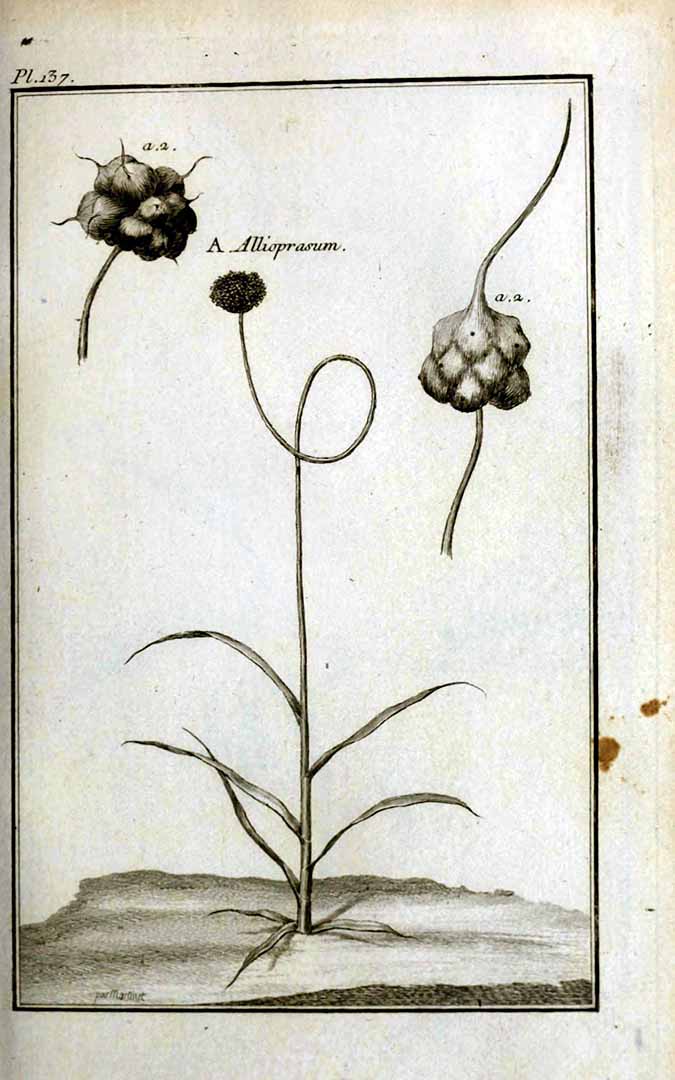 no HD illustration available (3)