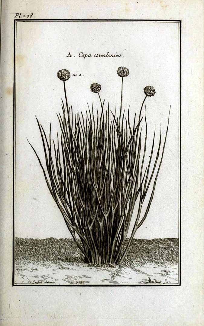 no HD illustration available (3)