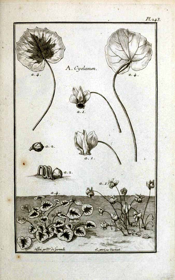 no HD illustration available (3)