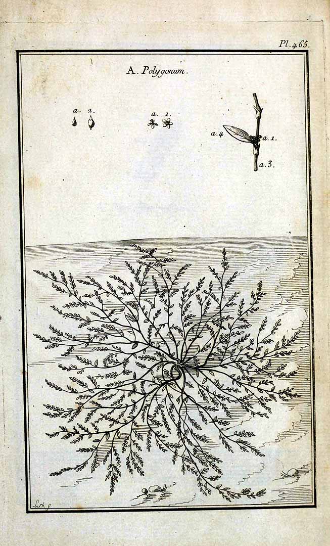 no HD illustration available (3)