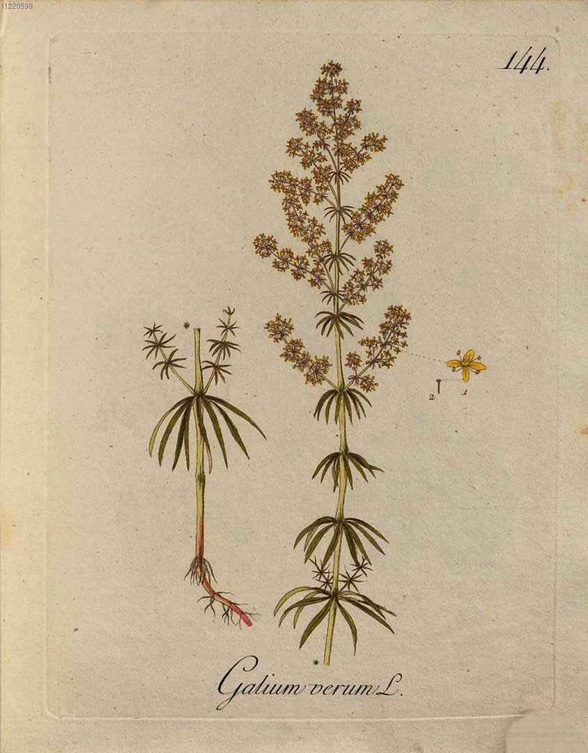 no HD illustration available (3)