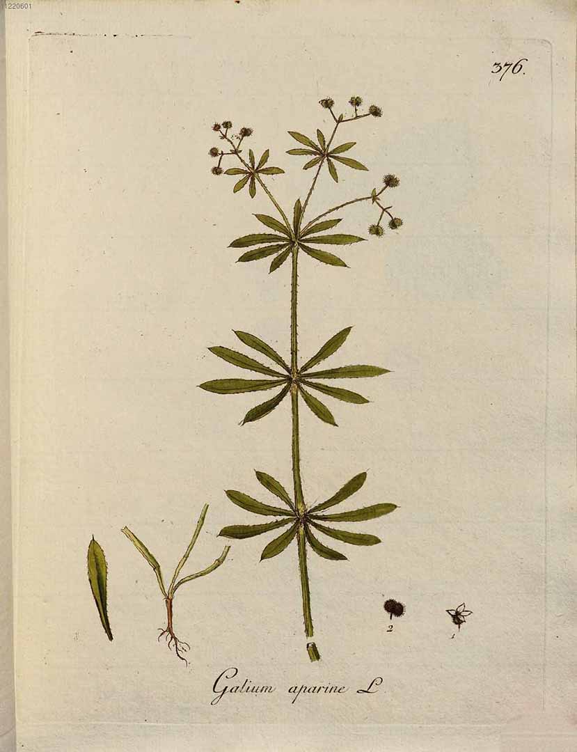 no HD illustration available (3)