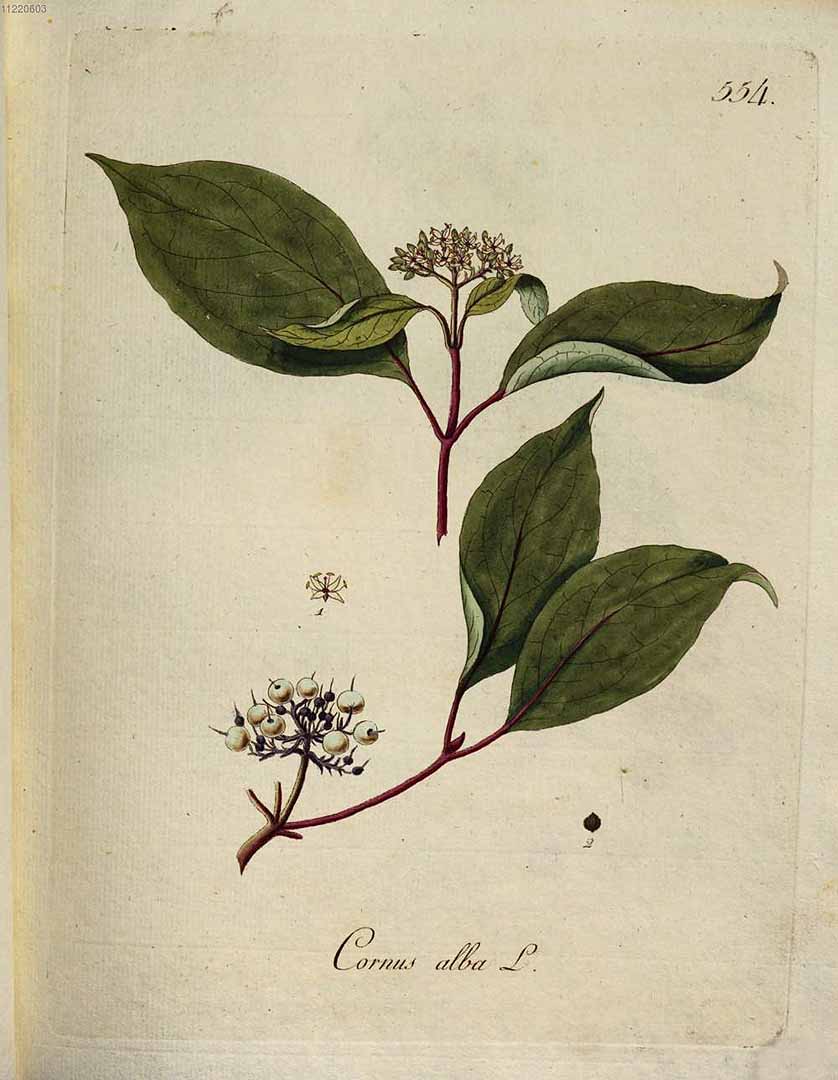 no HD illustration available (3)