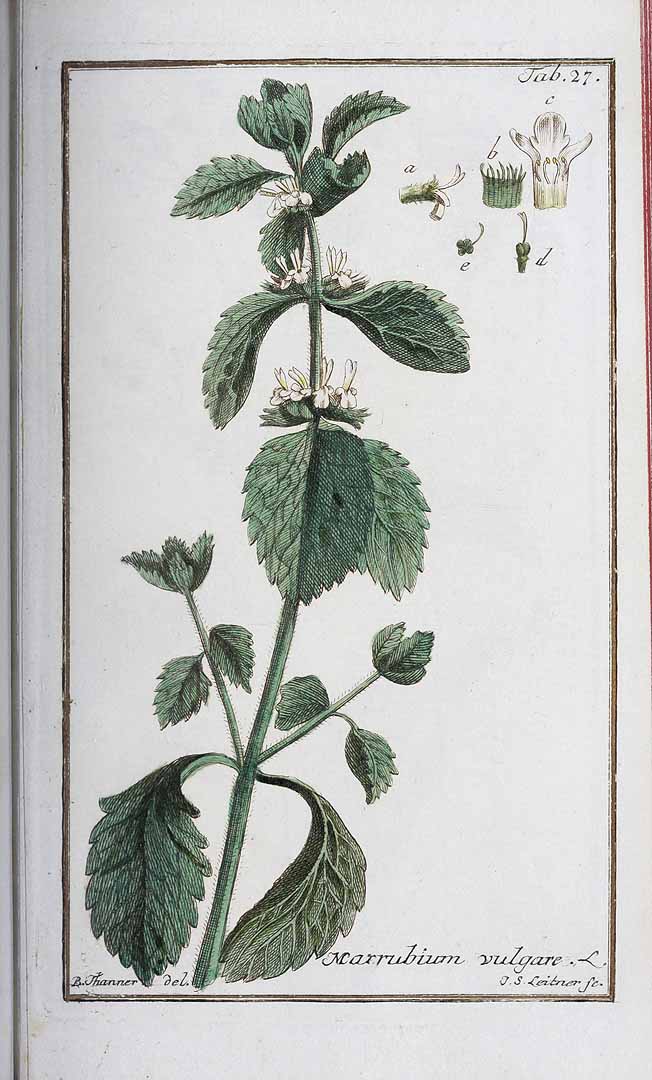 no HD illustration available (3)