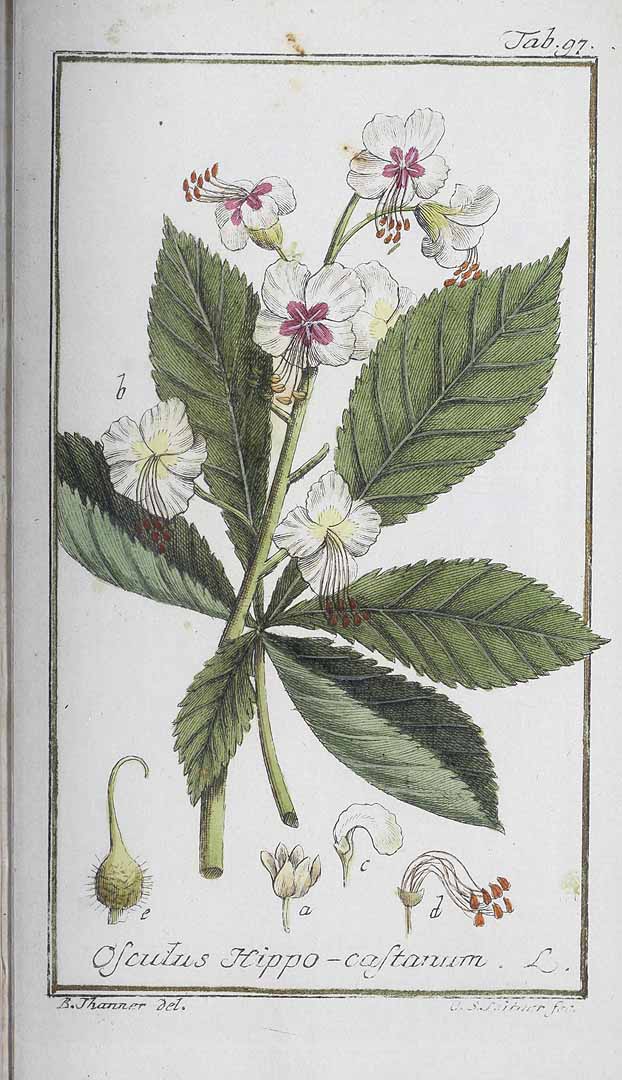 no HD illustration available (3)