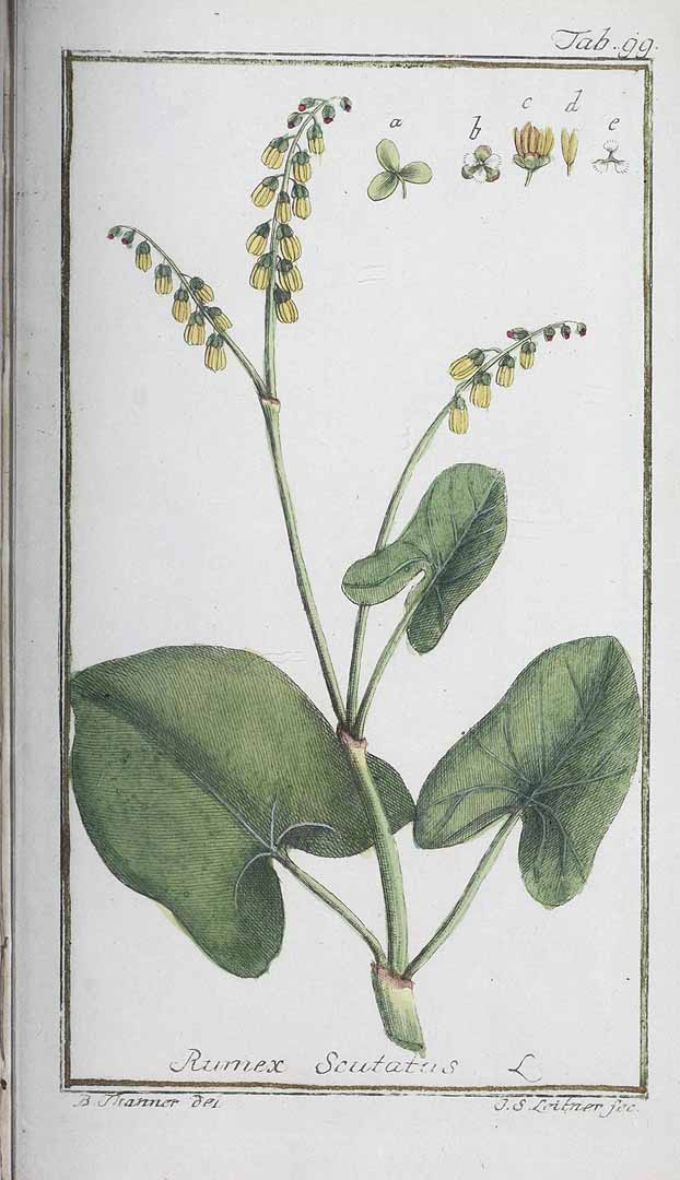 no HD illustration available (3)