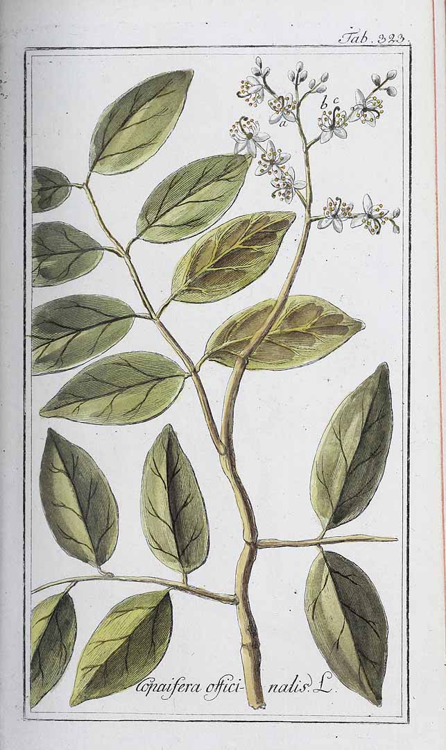 no HD illustration available (3)