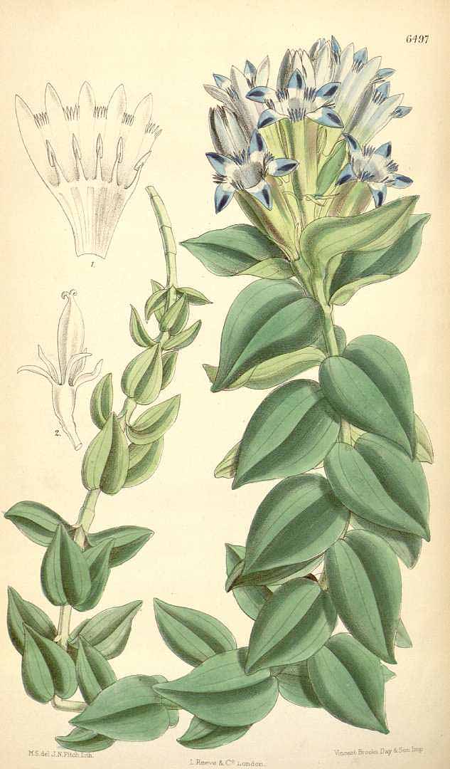 no HD illustration available (3)