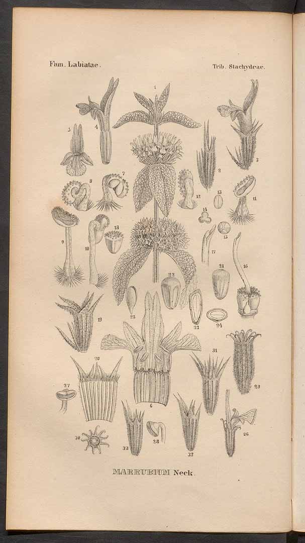 no HD illustration available (3)