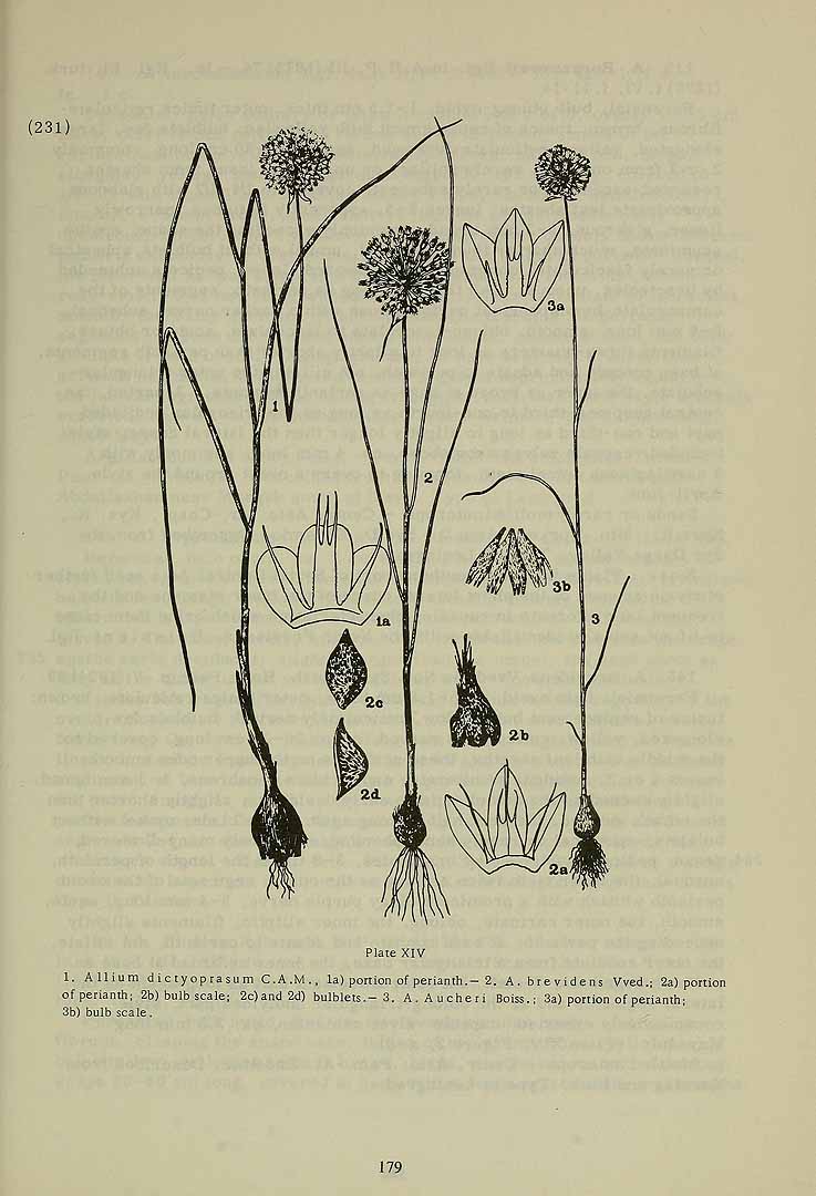 no HD illustration available (3)