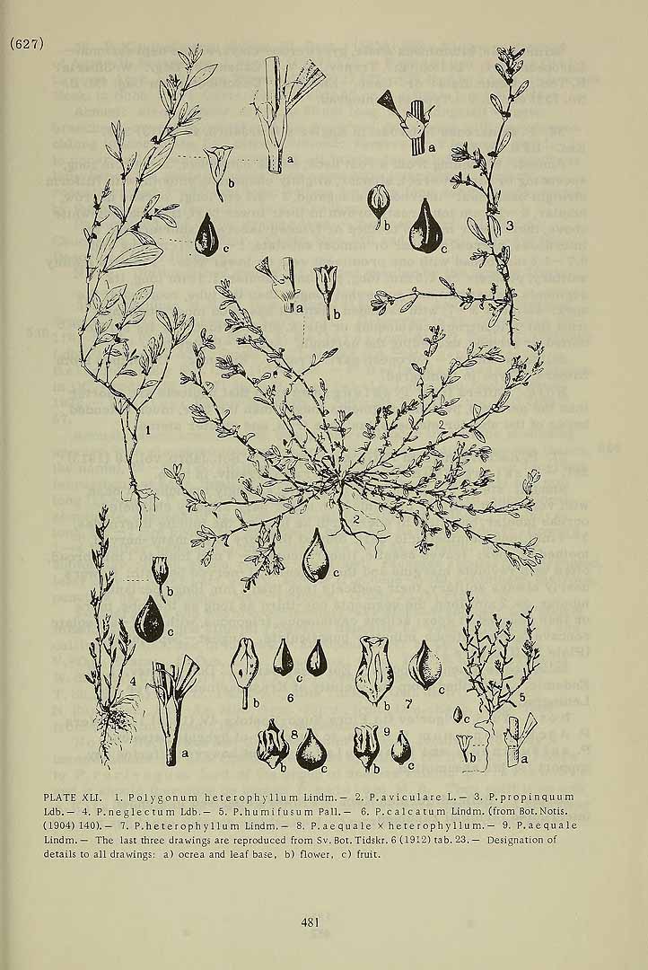 no HD illustration available (3)