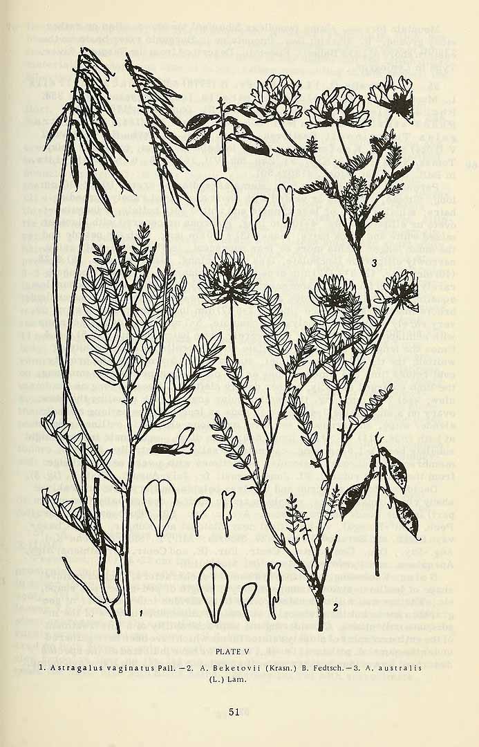 no HD illustration available (3)