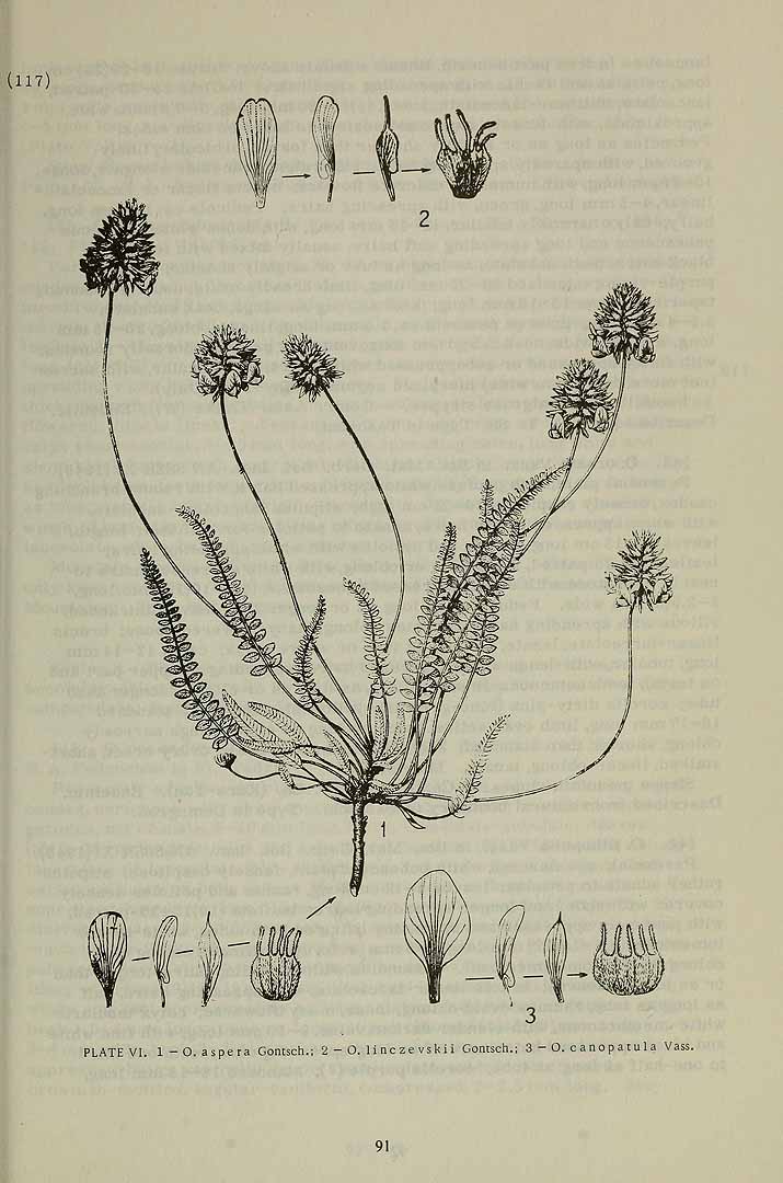 no HD illustration available (3)