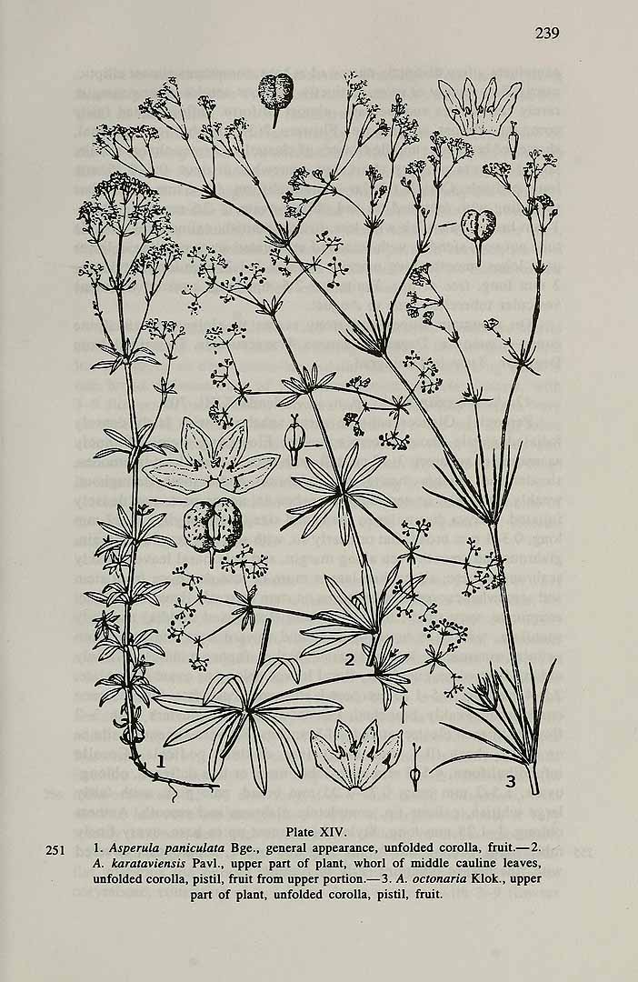 no HD illustration available (3)