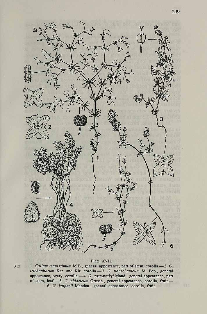 no HD illustration available (3)