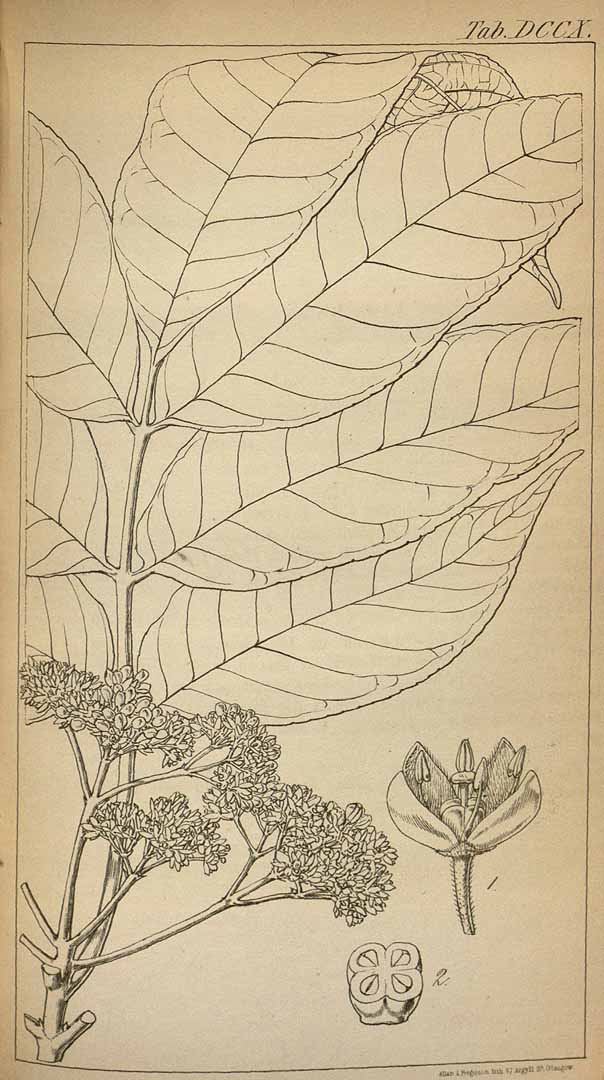 no HD illustration available (3)