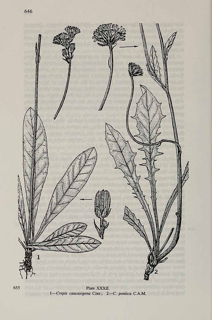 no HD illustration available (3)