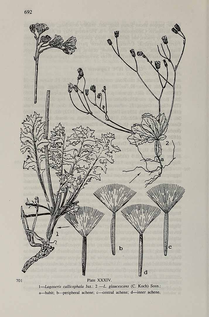 no HD illustration available (3)