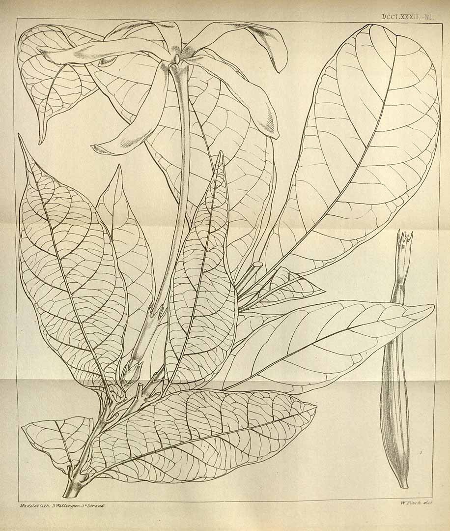 no HD illustration available (3)