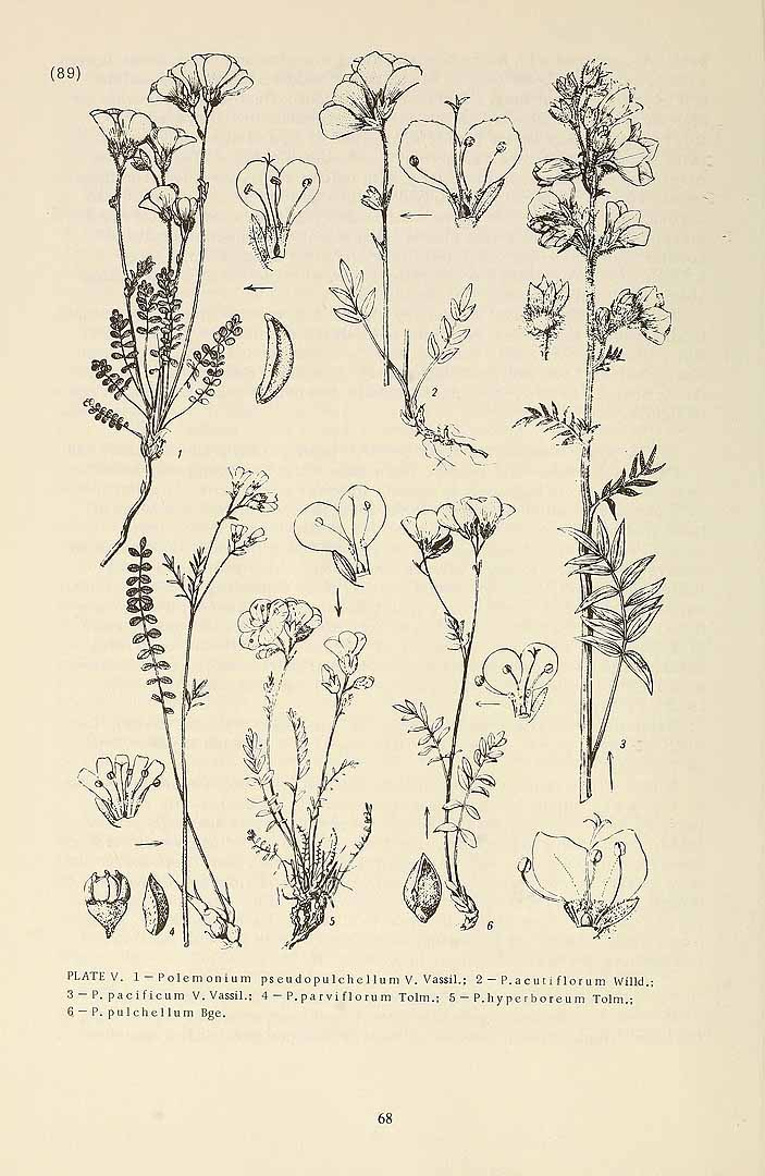 no HD illustration available (3)