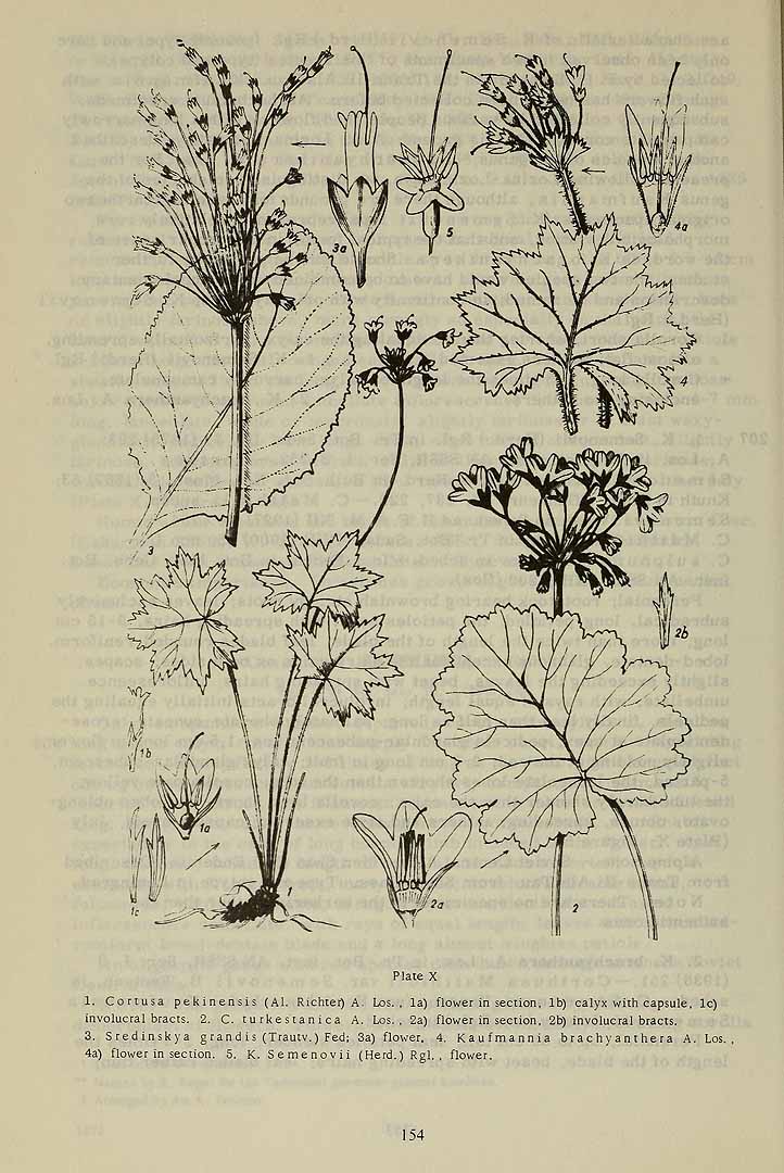 no HD illustration available (3)