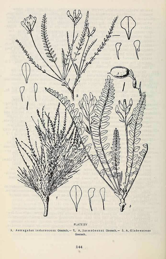 no HD illustration available (3)