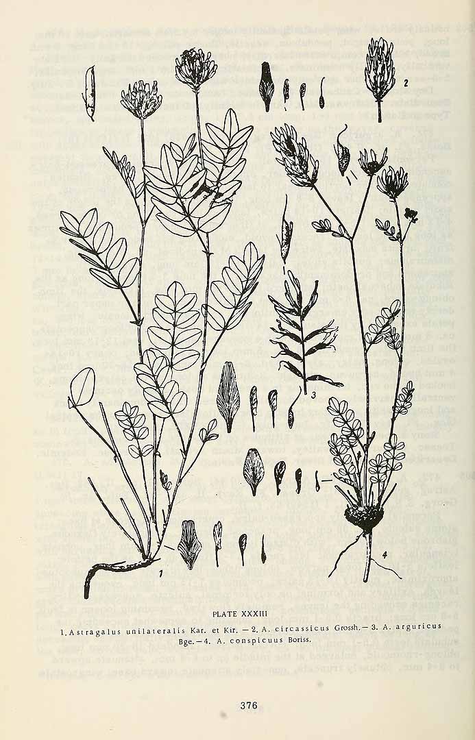 no HD illustration available (3)