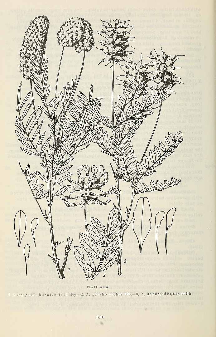 no HD illustration available (3)