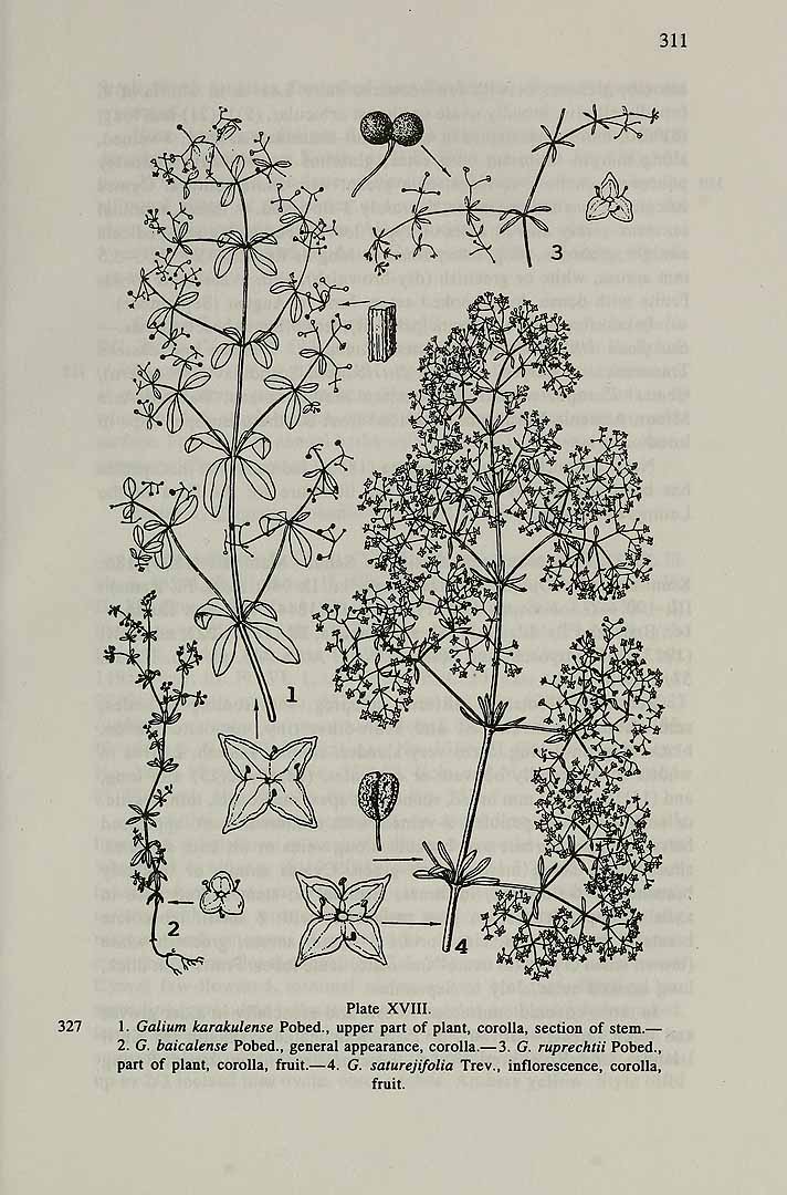 no HD illustration available (3)