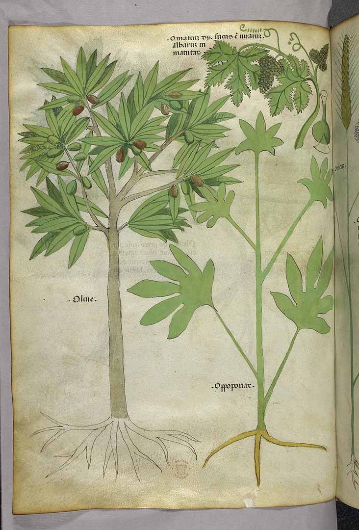 no HD illustration available (3)