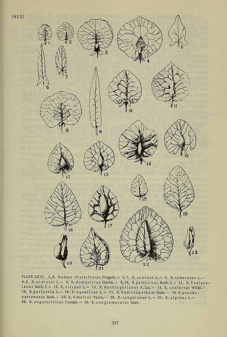 no HD illustration available (3)