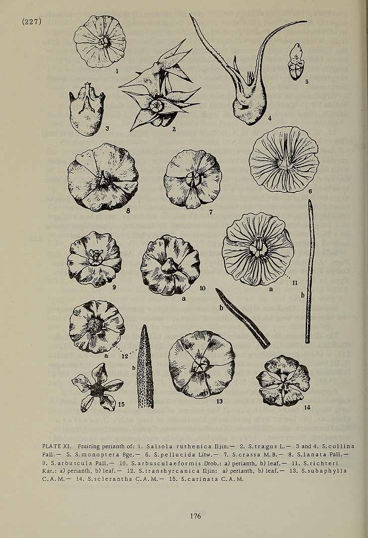 no HD illustration available (3)