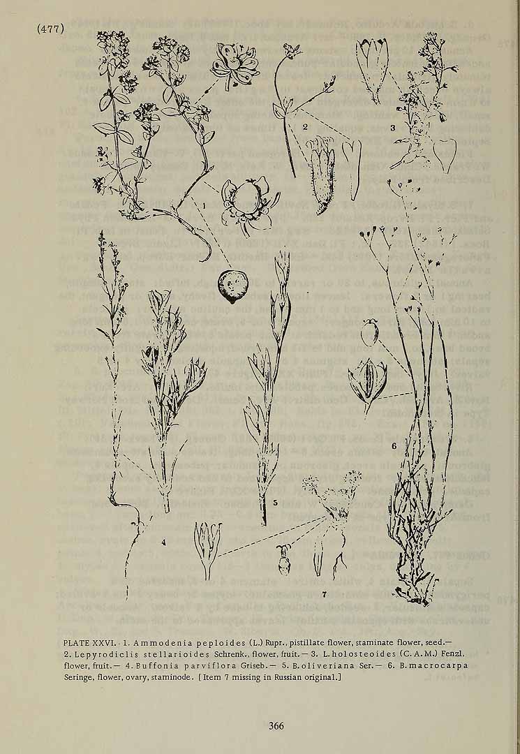 no HD illustration available (3)