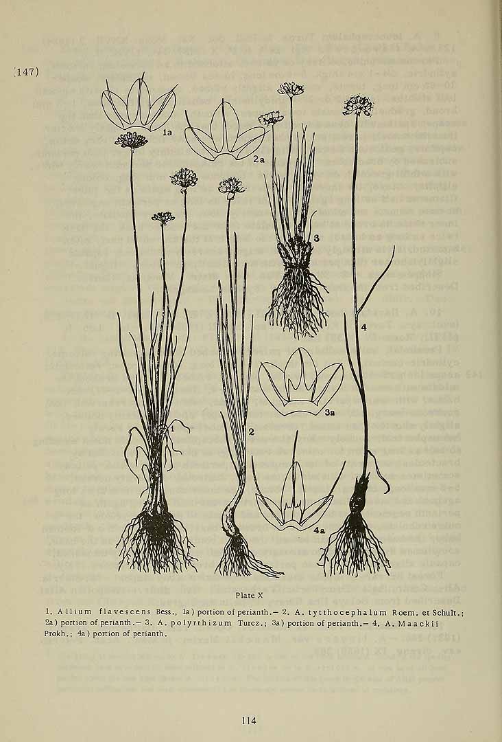 no HD illustration available (3)